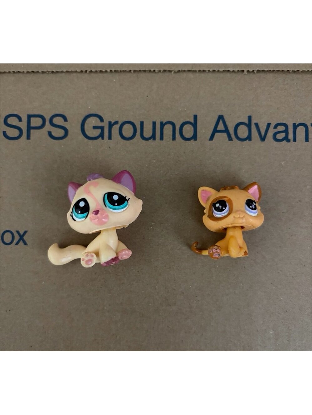Littlest Pet Shop LPS #1919 peach and purple Bon Bon cat swirl 2414 Cat Baby
